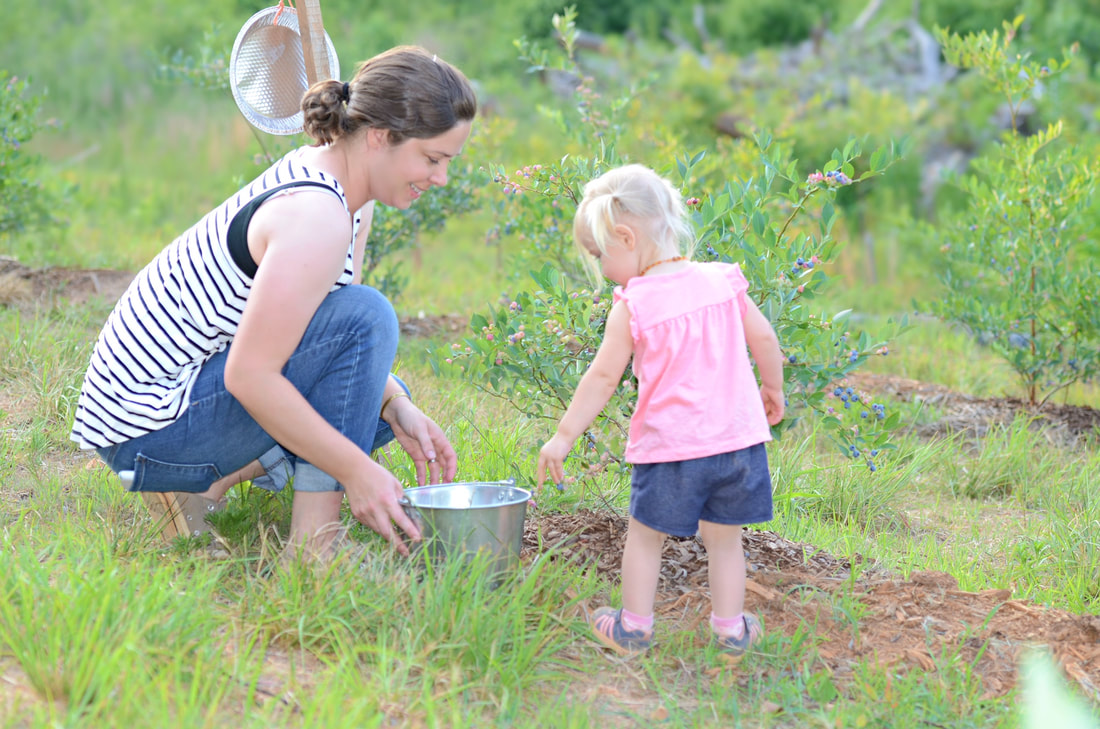 Pleasant Union Farm blueberry picking mom