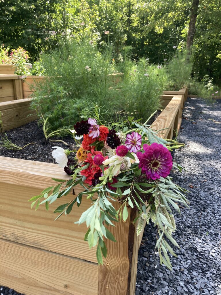 Cut flower bouquet from seeds started indoors in Zone 8.